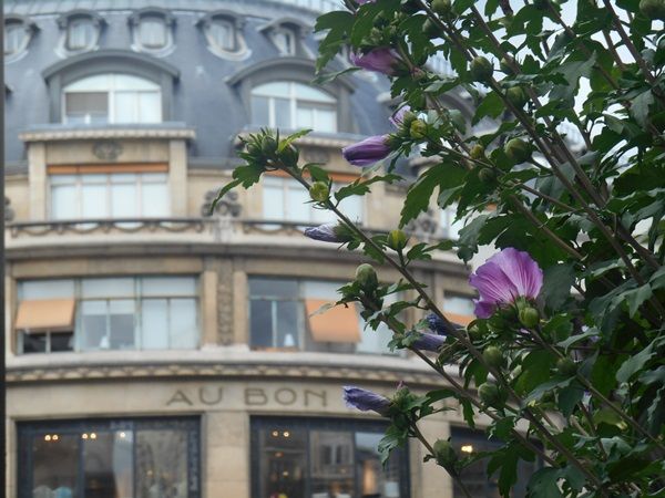 LE Bon Marché - zakupy w Paryzu